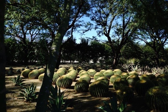 Sunnylands Center and Gardens, Rancho Mirage, California 37 via My Instagram