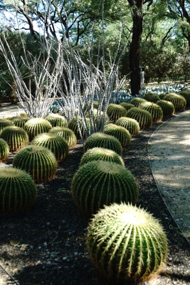 Sunnylands Center and Gardens, Rancho Mirage, California 54 via Instagram