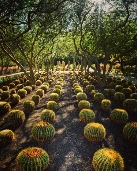 Sunnylands Center and Gardens, Rancho Mirage, California 102 via Instagram [Photography]