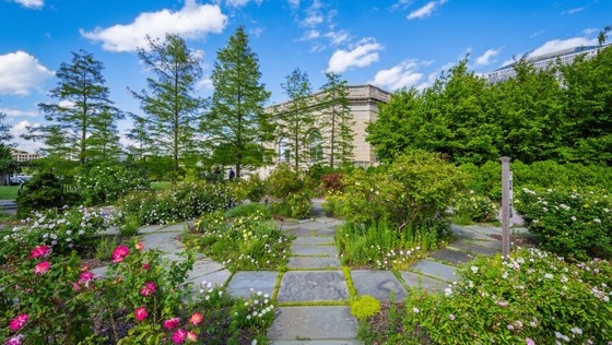 10 Botanic Gardens You Can't Miss in the U.S. from The Discoverer [Shared]