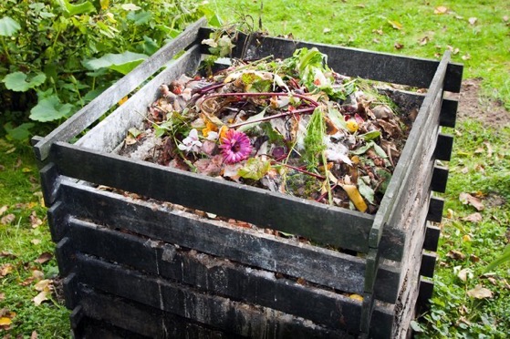 Home composting: how to use compost bins and tumblers to make your own compost 2021 | Yorkshire Evening Post