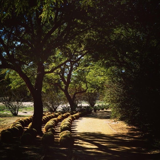 Sunnylands Center and Gardens, Rancho Mirage, California 101 via Instagram