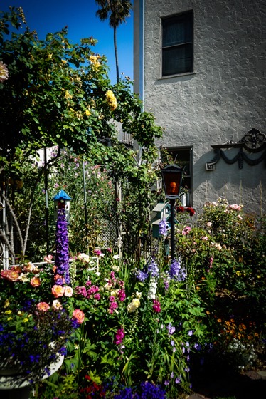 Garden Scene 3 via Instagram [Photography]