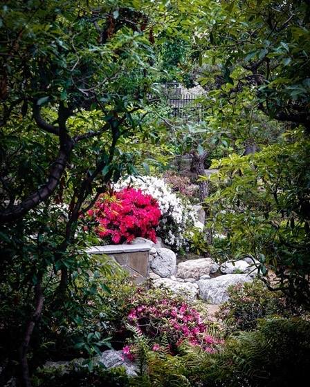 Places LA: James Irvine #Japanese #Garden at JACCC, Little Tokyo, Los Angeles 05 via Instagram [Photography] 