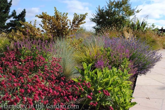 My Top 30 Native Plants for the Garden via Harmony in the Garden [Shared]