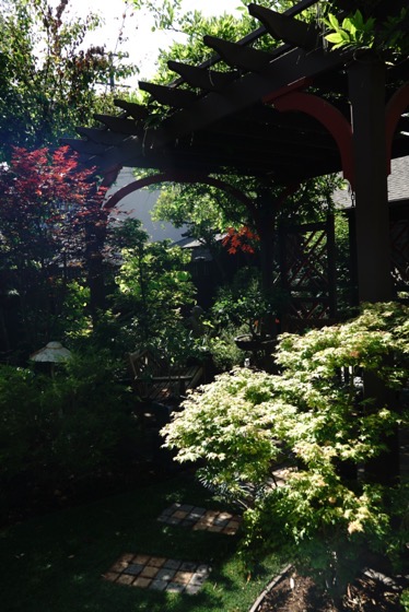 Garden Scene 10 From the 2022 Mary Lou Heard Memorial Garden Tour via Instagram [Photography] 