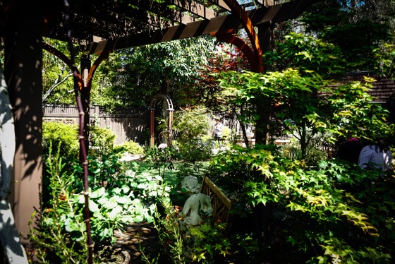 Garden Scene 12 From the 2022 Mary Lou Heard Memorial Garden Tour via Instagram [Photography] 