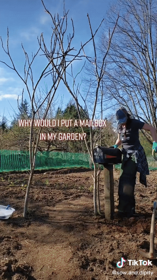 Old Mailbox to Garden Tool Storage via sow.and.dipity on TikTok [Video] [Shared]