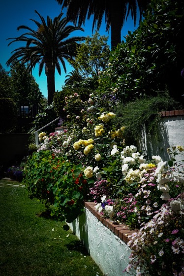 Garden Scene 22 From the 2022 Mary Lou Heard Memorial Garden Tour via Instagram [Photography]