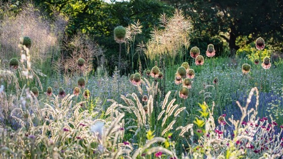 Dry gardens explained - 10 expert tips for a lush landscape via Livingetc [Shared]