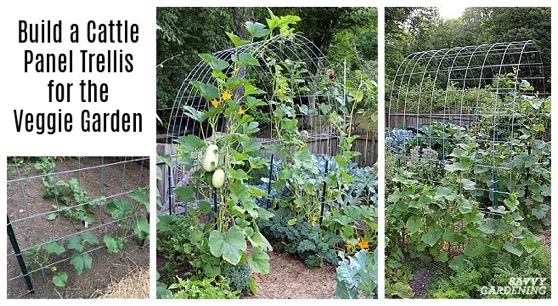 Cattle Panel Trellis: How to Build a DIY Vegetable Garden Arch via Savvy Gardening [Shared]
