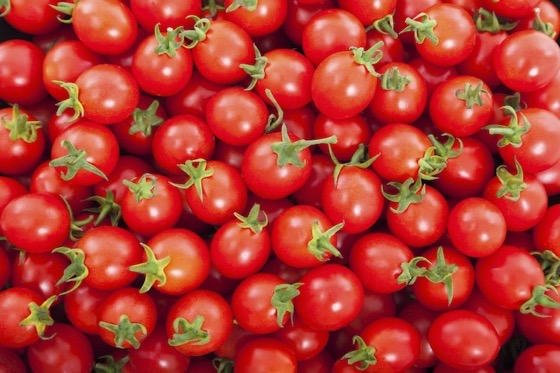 Backyard Gardener Grows Record-Breaking 1,269 Tomatoes on One Vine via My Modern Met [Shared]