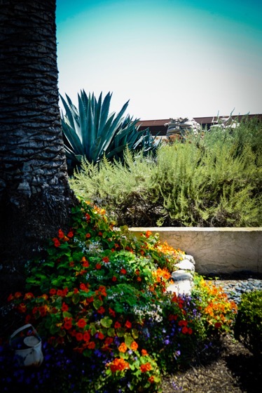 Garden Scene 32 From the 2022 Mary Lou Heard Memorial Garden Tour via Instagram [Photography] 
