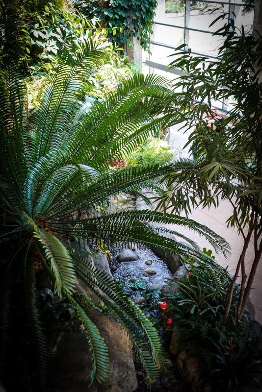 Tropical House, Denver Botanic Garden, Denver, Colorado