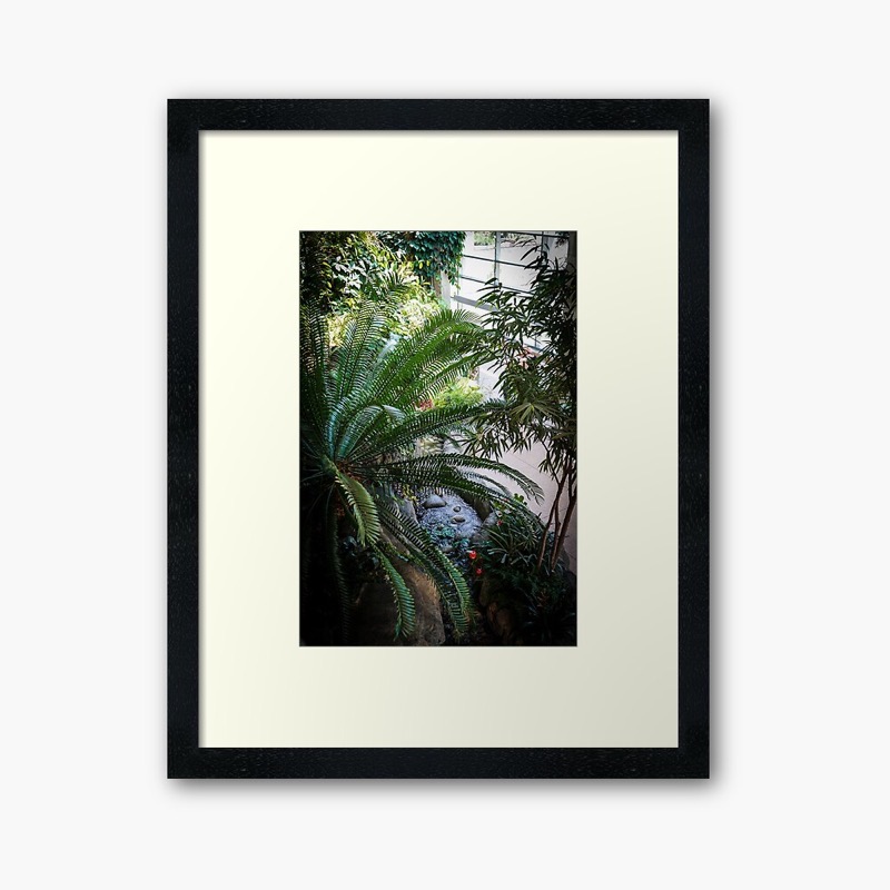 Tropical House, Denver Botanic Garden, Denver, Colorado  [Photography] [Prints]
