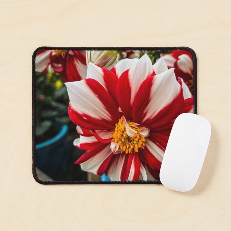 Ur mouse pad small flatlay prop square 1000x1000