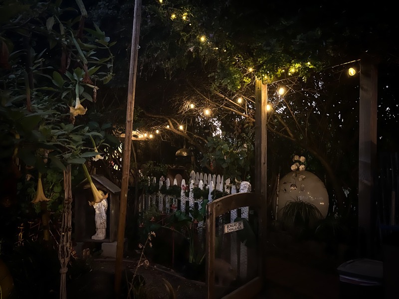 In the Neighbor’s Garden at Night
