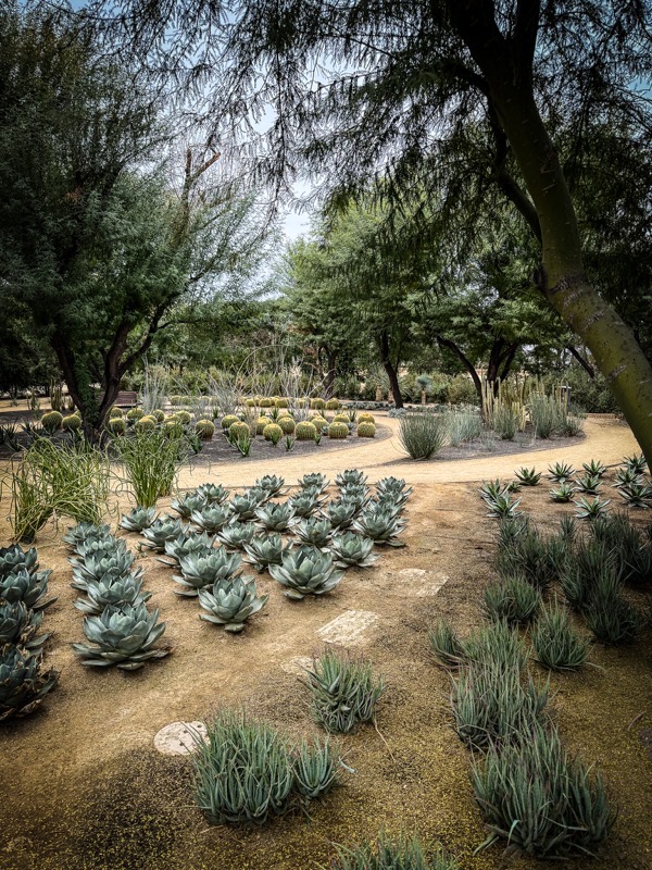 Garden Scene, Sunnylands, Rancho Mirage, California 