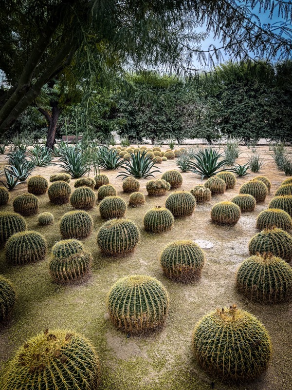 Garden Scene 2, Sunnylands, Rancho Mirage, California [Photography]