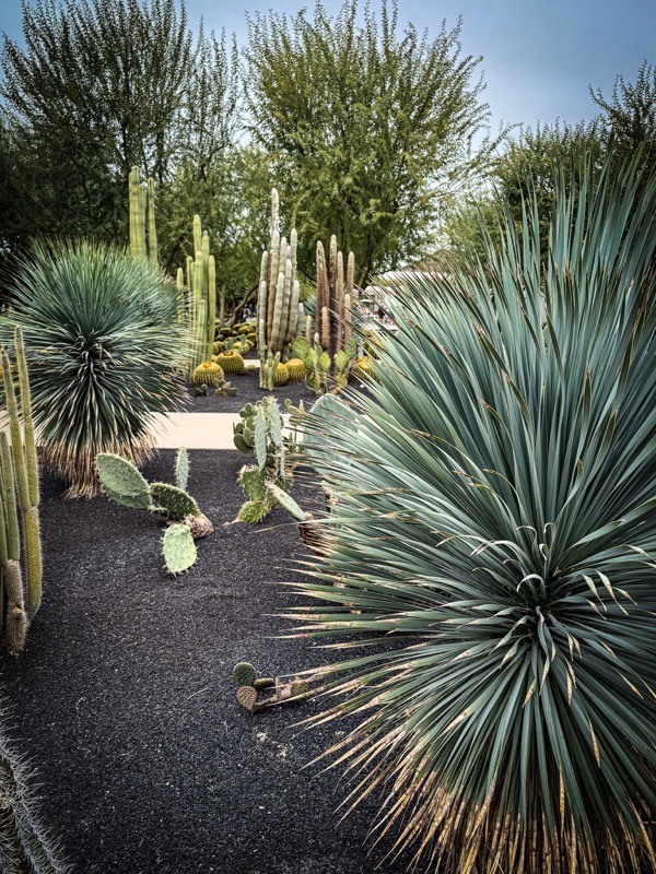 Garden Scene 8, Sunnylands, Rancho Mirage, California 