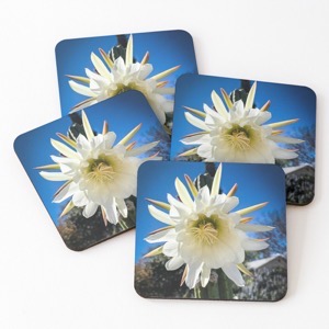 Ur,coaster pack 4 flatlay,square,1000x1000.2-9.