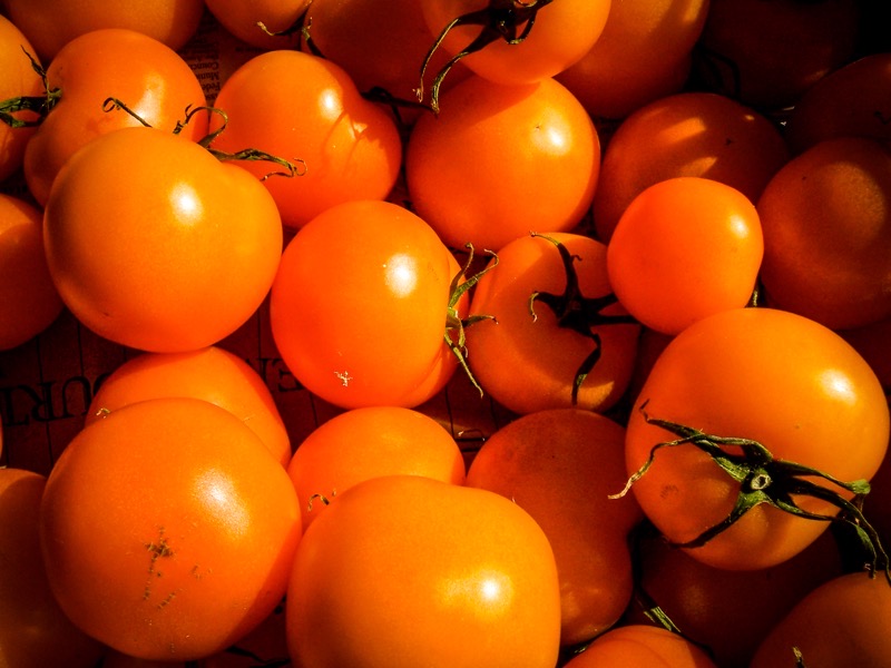 The image features a close-up view of a collection of bright orange tomatoes. These tomatoes are round and plump, with a smooth, shiny surface that reflects light, giving them a vibrant appearance. The tomatoes are clustered together, with some partially overlapping each other, creating a dense arrangement. Each tomato has a green stem attached, which is slightly wilted, indicating they have been recently picked. The background is dark, which contrasts with the bright color of the tomatoes, making them stand out prominently. The lighting in the image is warm, enhancing the orange hue of the tomatoes and casting soft shadows, adding depth to the scene.</p></p>

<p><p>Provided by @altbot, generated privately and locally using Ovis2-8B