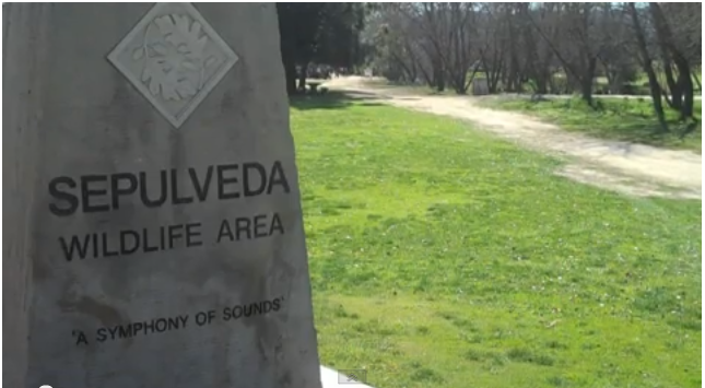 Video: Places LA: Sepulveda Basin Wildlife Area