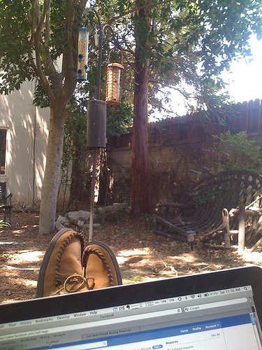 Working(?) in the garden