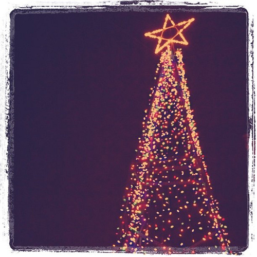 Christmas Tree in cul de sac