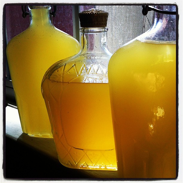 Homemade Limoncello finished