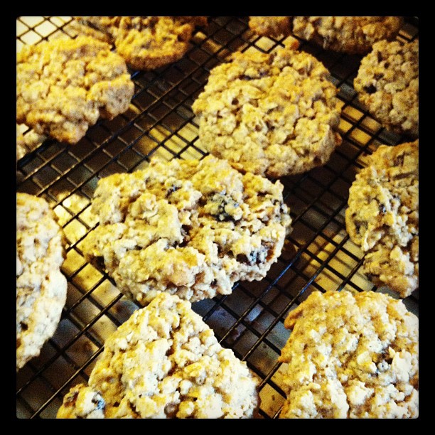 Photo: Oatmeal Cookies