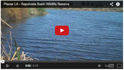 3 Years Ago: Places LA – Sepulveda Basin Wildlife Reserve