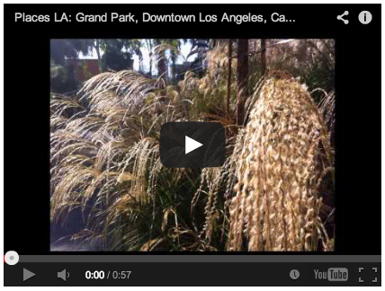 Video: Places LA: Grand Park in Downtown Los Angeles Photo Slide Show