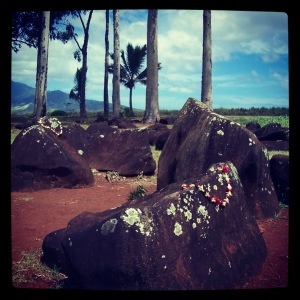 Photo: Kukaniloko Birthstones State Monument in Wahiawa, Oahu, Hawaii