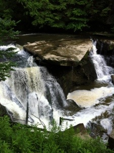 The Great Falls at Tinkers Creek