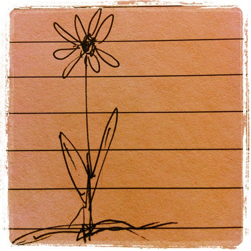 Photo: One flower on the page via #instagram