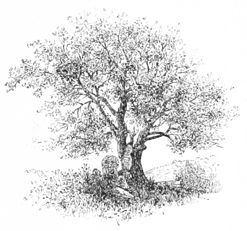 Tree etching