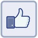 Thumbs Up Icon