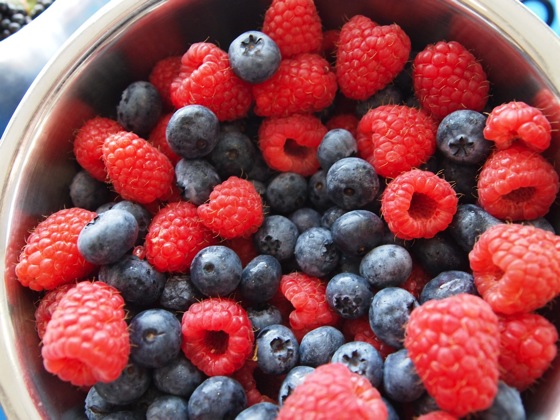 Blueberries and Raspberries – End of the Day for October 7, 2014