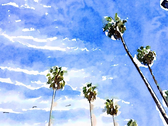 Palm trees watercolor 1