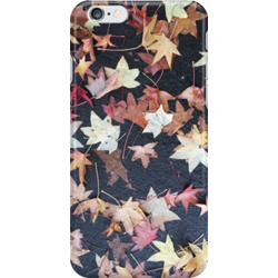 Products: Autumn Leaves – Liquidambar styraciflua — my photography on smartphone cases, cards, totes and more!