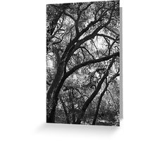 Oak tree card