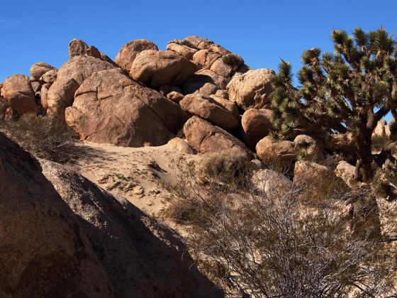 Photo: Out West #2 – Joshua Tree and Boulders at the Antelope Valley Indian Museum