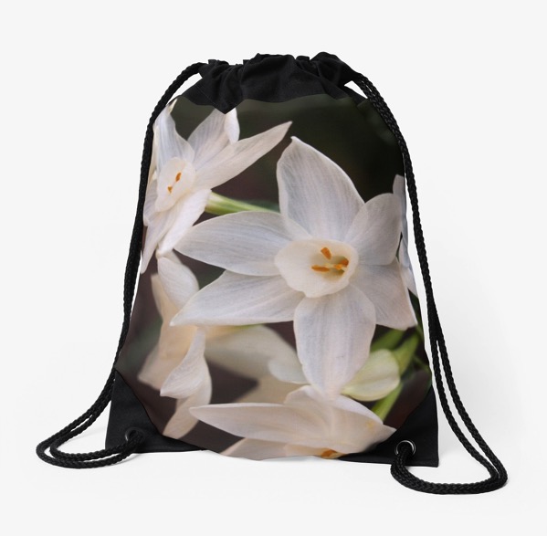 Paperwhites in the garden drawstring bag, cards, totes, smartphone covers and more!