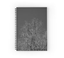Trees sky notebook