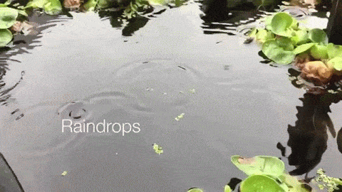 Seeing Differently 13: Raindrop Ripples in Slow Motion 