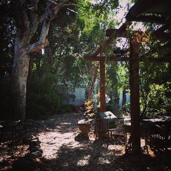 Morning in the garden via Instagram [Photo]