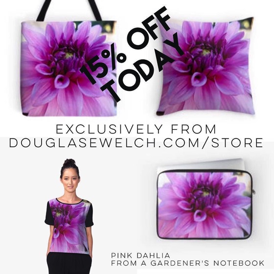 Pink Dahlia Products exclusively from Douglas E. Welch via Instagram [Photo]