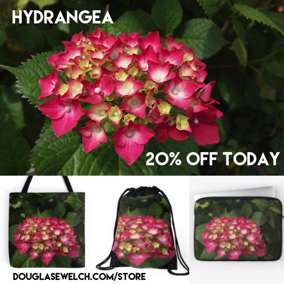 20% Off these Hydrangea products today from Douglas E. Welch [Products]