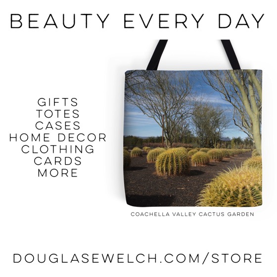 Buy this “Coachella Cactus Garden” Tote and much more from Douglas E. Welch [Gifts]
